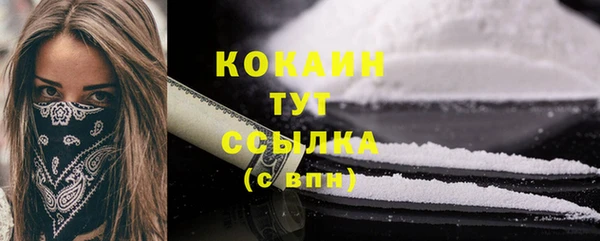 крисы Наволоки
