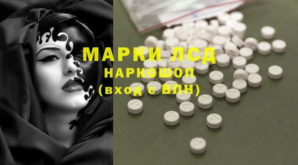 крисы Наволоки