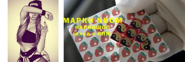 крисы Наволоки