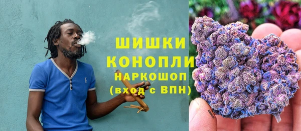 спиды Новозыбков