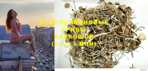 крисы Наволоки
