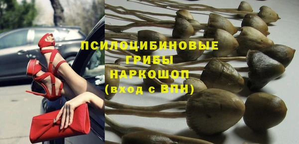 крисы Наволоки