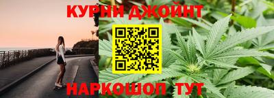 СК Обь