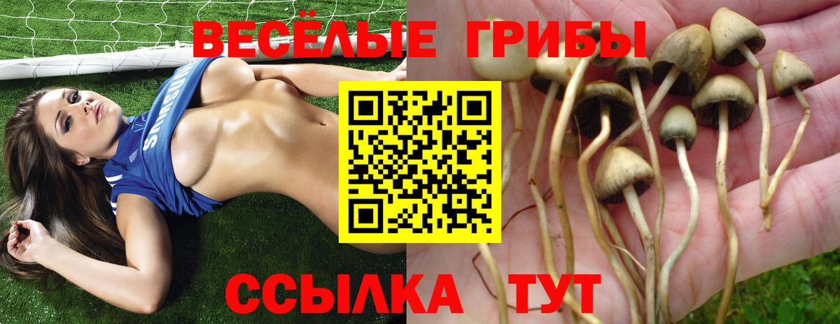 Псилоцибиновые грибы прущие грибы Липецк