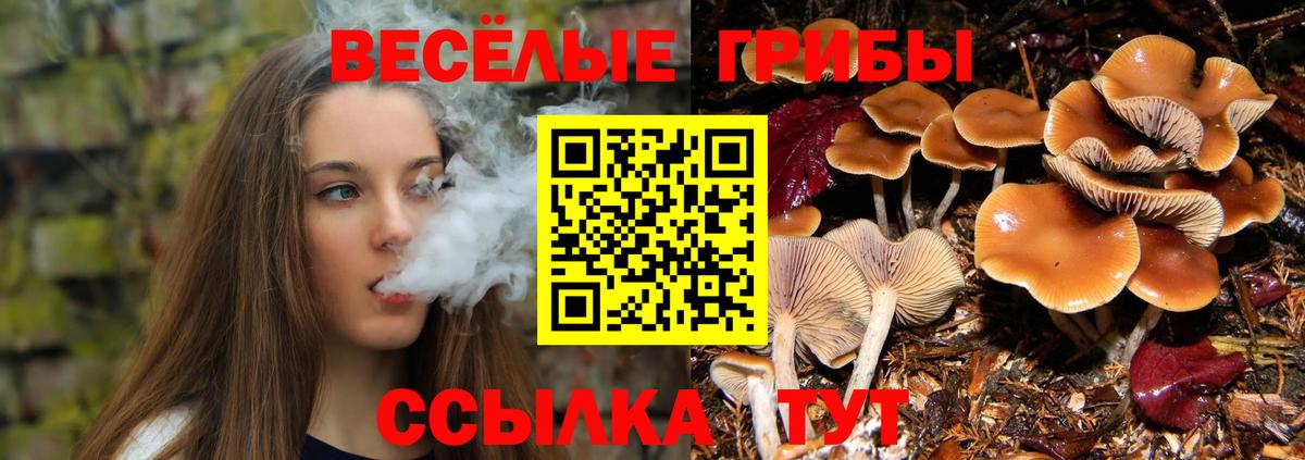 Липецк  Псилоцибиновые грибы Psilocybine cubensis  Вход с VPN 